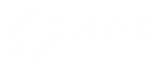 XAE Group logo